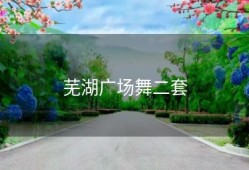 芜湖广场舞二套
