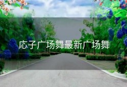 応子广场舞最新广场舞