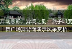 舞动燕影，异域之韵：燕子印度舞广场舞背面演示风采赏析