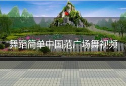 舞蹈简单中国范广场舞视频