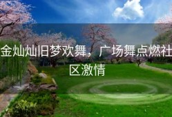 金灿灿旧梦欢舞，广场舞点燃社区激情