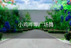 小鸡哔哔广场舞