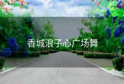 香城浪子心广场舞