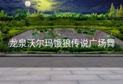 龙泉沃尔玛饿狼传说广场舞