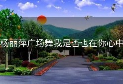 杨丽萍广场舞我是否也在你心中