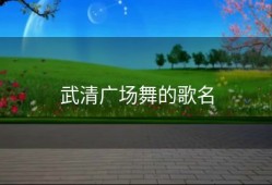 武清广场舞的歌名