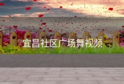 宜昌社区广场舞视频