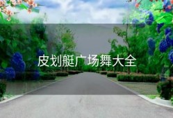 皮划艇广场舞大全