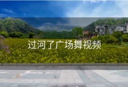 过河了广场舞视频