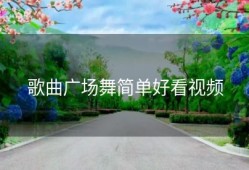 歌曲广场舞简单好看视频