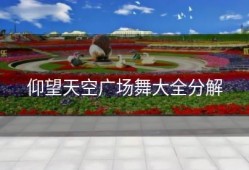 仰望天空广场舞大全分解