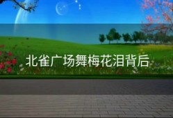 北雀广场舞梅花泪背后