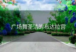 广场舞圣洁的布达拉宫