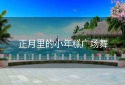 正月里的小年糕广场舞