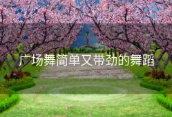 广场舞简单又带劲的舞蹈