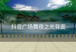 抖音广场舞夜之光背面