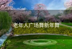 老年人广场舞新年舞