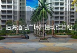 后海酒吧广场舞慢动作舞蹈