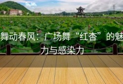 舞动春风：广场舞“红杏”的魅力与感染力