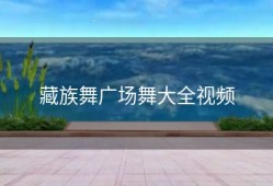 藏族舞广场舞大全视频