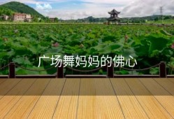 广场舞妈妈的佛心