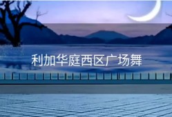 利加华庭西区广场舞