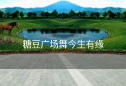 糖豆广场舞今生有缘