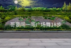 哥要闯一闯广场舞18步