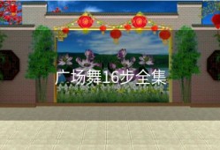 广场舞16步全集