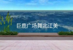 巨鹿广场舞北江美