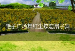 艳子广场舞红尘蝶恋扇子舞