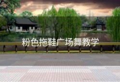 粉色拖鞋广场舞教学