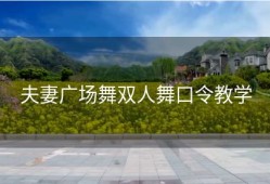 夫妻广场舞双人舞口令教学