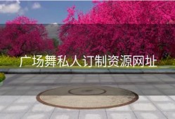 广场舞私人订制资源网址