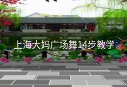 上海大妈广场舞14步教学