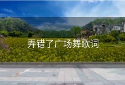 弄错了广场舞歌词