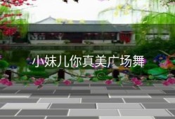 小妹儿你真美广场舞