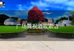 广场舞祝酒歌索洁