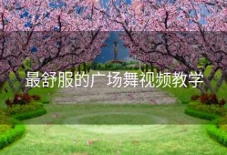 最舒服的广场舞视频教学