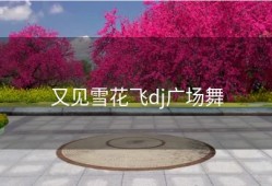 又见雪花飞dj广场舞