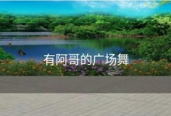 有阿哥的广场舞