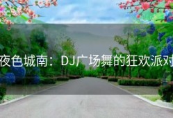 夜色城南：DJ广场舞的狂欢派对
