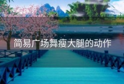 简易广场舞瘦大腿的动作