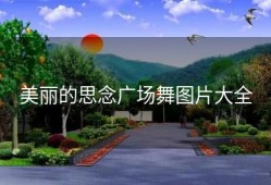 美丽的思念广场舞图片大全
