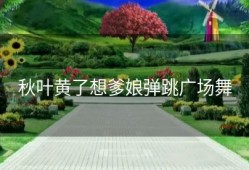 秋叶黄了想爹娘弹跳广场舞