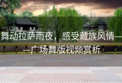 舞动拉萨雨夜，感受藏族风情——广场舞版视频赏析