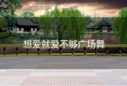 想爱就爱不够广场舞