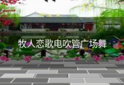 牧人恋歌电吹管广场舞