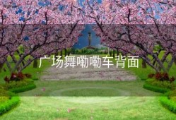 广场舞嘞嘞车背面