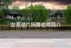 龙潭湖广场舞老师简介